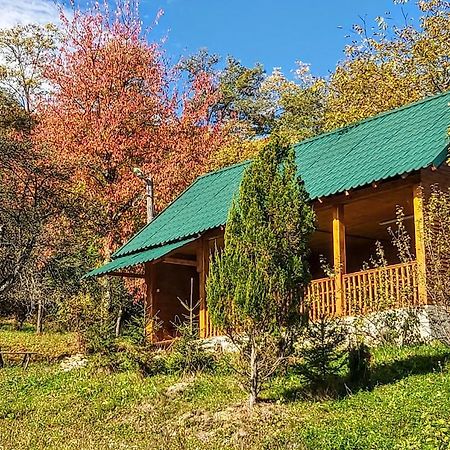 Pensiunea Agroturistica Piscul Soarelui Cîmpulung Esterno foto
