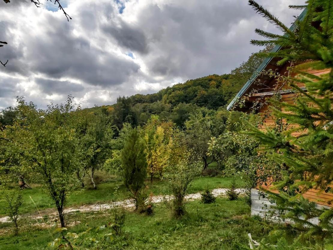 Pensiunea Agroturistica Piscul Soarelui Cîmpulung Esterno foto