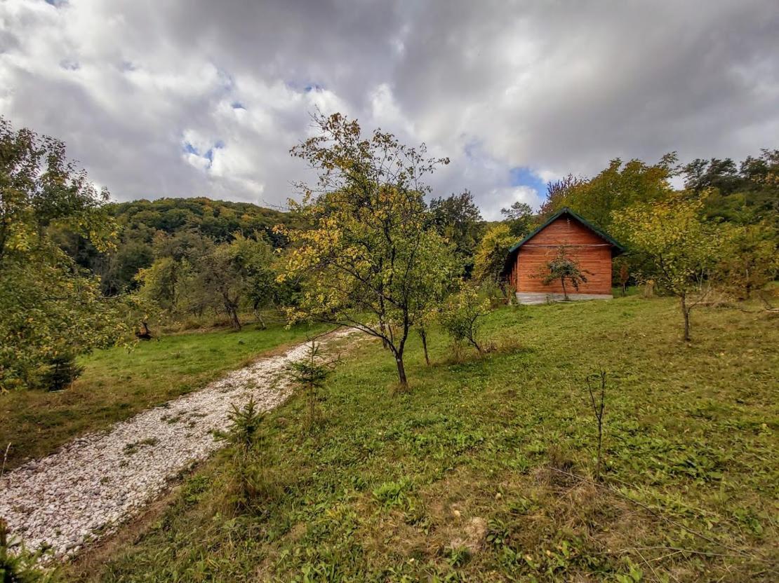 Pensiunea Agroturistica Piscul Soarelui Cîmpulung Esterno foto