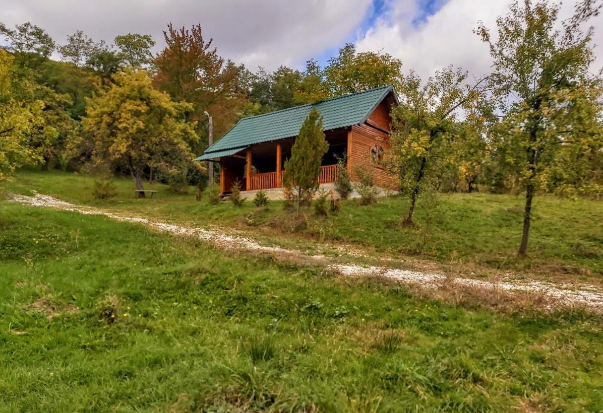Pensiunea Agroturistica Piscul Soarelui Cîmpulung Esterno foto