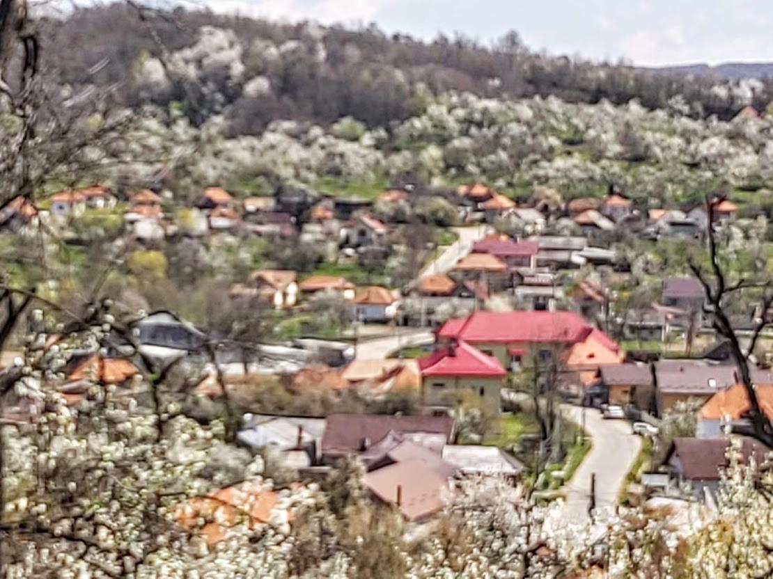 Pensiunea Agroturistica Piscul Soarelui Cîmpulung Esterno foto