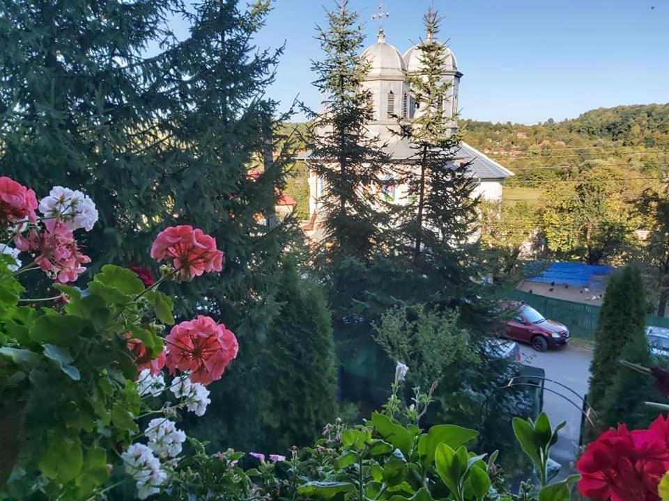 Pensiunea Agroturistica Piscul Soarelui Cîmpulung Esterno foto