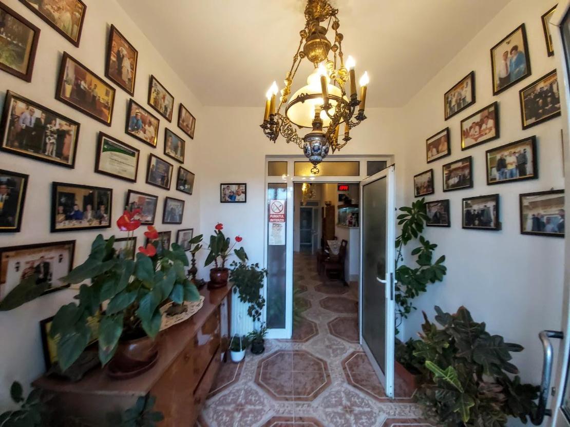Pensiunea Agroturistica Piscul Soarelui Cîmpulung Esterno foto