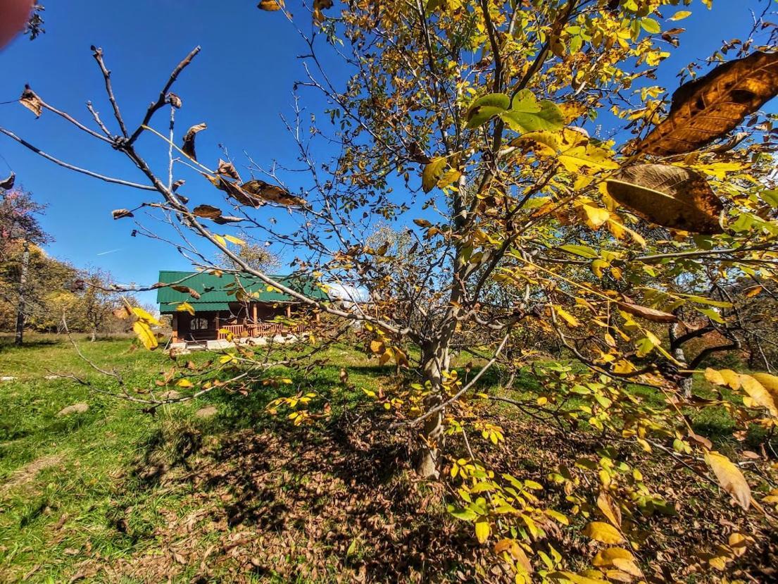 Pensiunea Agroturistica Piscul Soarelui Cîmpulung Esterno foto